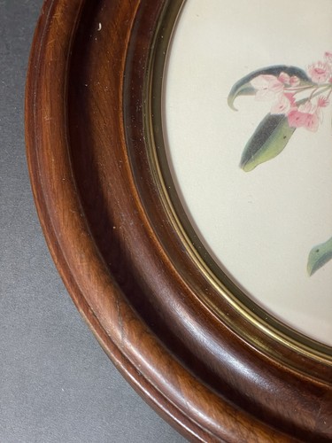 Victorian Dark Wood Oval Frame 13.5" x 11.5”Audubon Bird Print & Mirror Lot Of 3 - Picture 21 of 24