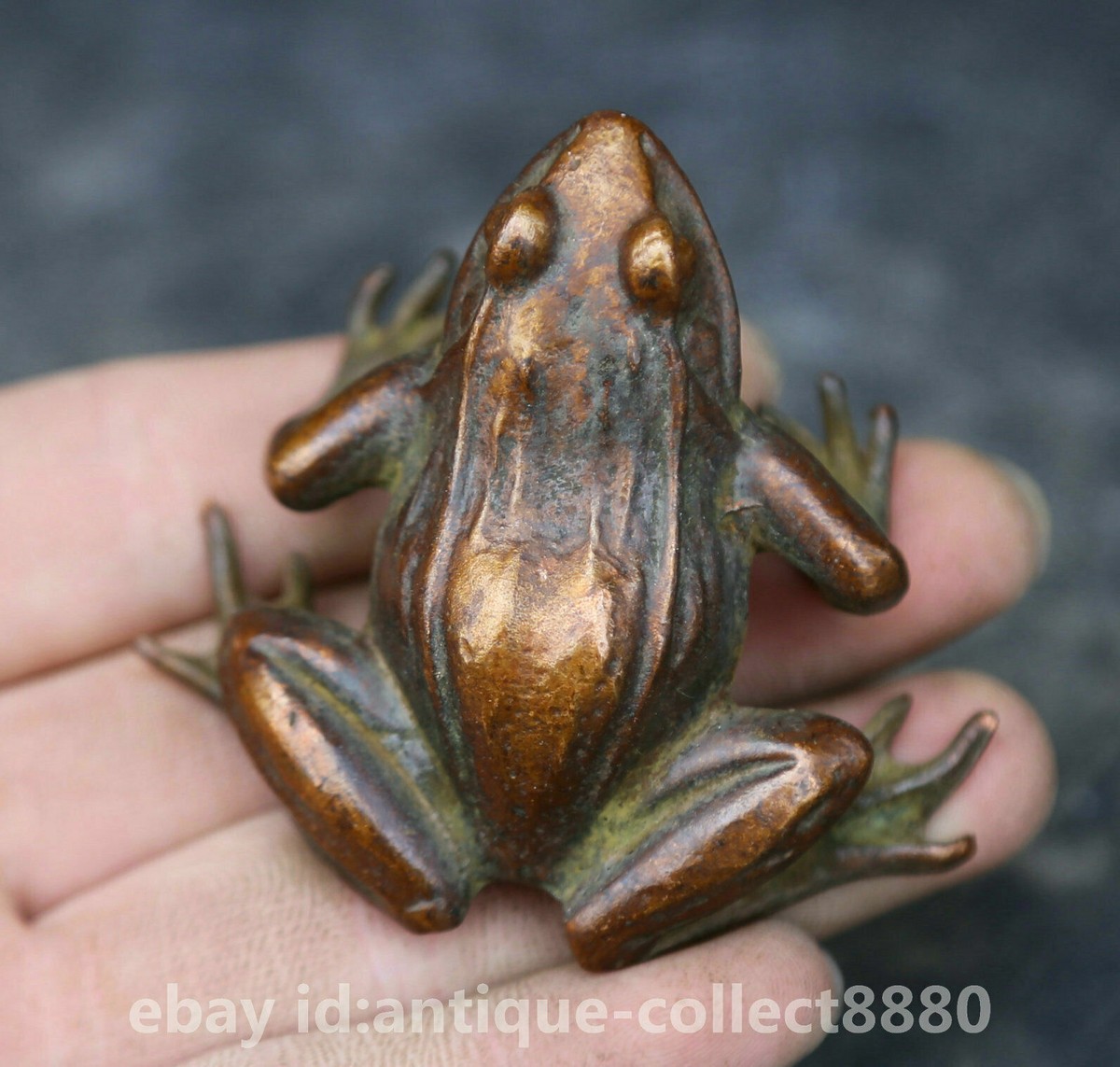57MM/137G Collection Chinese Pure Bronze Animal Luck Frog Qingwa