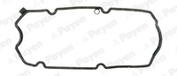Payen Dichtung Zylinderkopfhaube FüR Fiat 500 312_ 1.2 169 1.1 Ford KA RU8