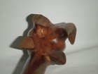 Foto 24 di 24