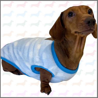 Blue Chirp Birdy - Wurst Hundebox Dackel PJ's/Pullover