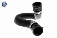 KÜHlerschlauch Oben Vaico V10 4283 FÜR Audi KÜHlmittelschlauch Wasserschlauch