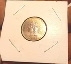 1903 Indian Head Cent- Higher Grade Luster NR Lot #51