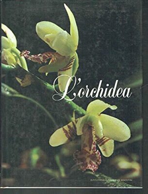 orchidea hunt/kijima B08TTMS1GL
