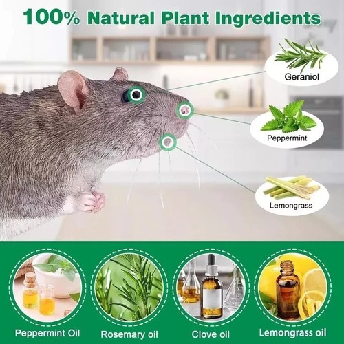 12 Pack Vamoose Natural Rodent. NEW . THE BEST.GIFTS.HOME.GARDEN.OFIS.CAR - Picture 16 of 20