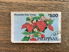 PHILIPPINES PILIPINAS 1979 CULTIVATED MUSSAENDAS 5.00P DONA TRINING USED 5P