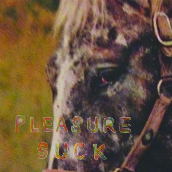 The Spirit of the Beehive Pleasure Suck (CD) Album