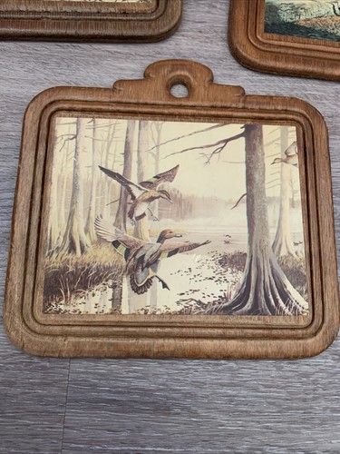 Set of 3 Mid Century Bird Prints on Wood Plaque Wall Art Vintage MCM Decor - Picture 4 of 9