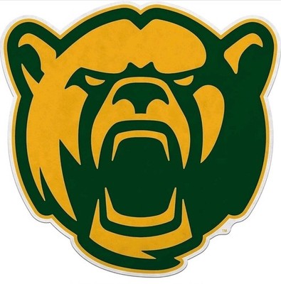 Rico Industries NCAA Baylor Bears Shape Cut Mascot Pennant - 18x18