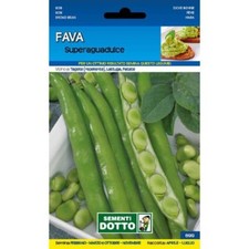 Semences De Orto - Graines De Fava Superaguadulce - Sem. Conduit