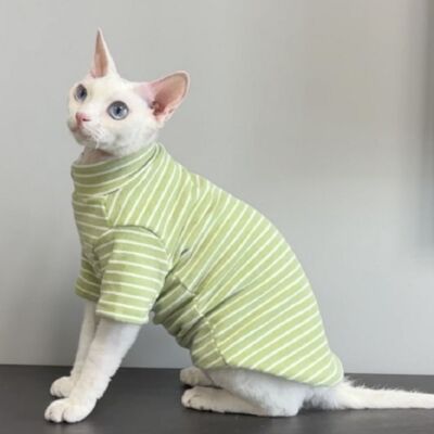 Katzenkleidung Baumwolle dehnbar und weich haarlos Katzenshirt Outfits kahle Katzenkleidung