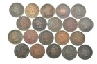 Lot 20 1800's 1890-1899 Indian Head Penny Cents US Coin Collection 2/5 Roll *339