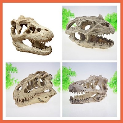 Aquarium Deko Höhle Versteck Terrarium Deko Dinosaurier Schädel Dekoration DIY