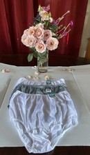 NWT Vanity Fair Perfectly Yours- 2 Star White, 1 seaside mist Briefs  Size 6/M