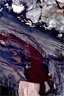 On Active Grounds: Agency and Time in the Environmental Humanities (Paperback or