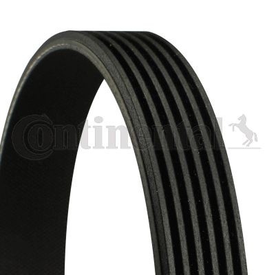 1 X Keilrippenriemen Contitech 6PK923 FüR VW Polo Classic-image