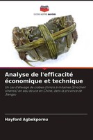 Hayford Agbekpornu | Analyse De L'efficacité éConomique Et Technique | Buch