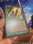 Foto 3 di 10