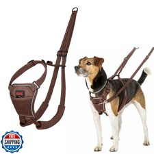 Halti No Pull Harness - Stop Your Dog Pulling on The Leash. Adjus
