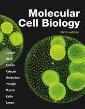 Molecular Cell Biology (International Edition...