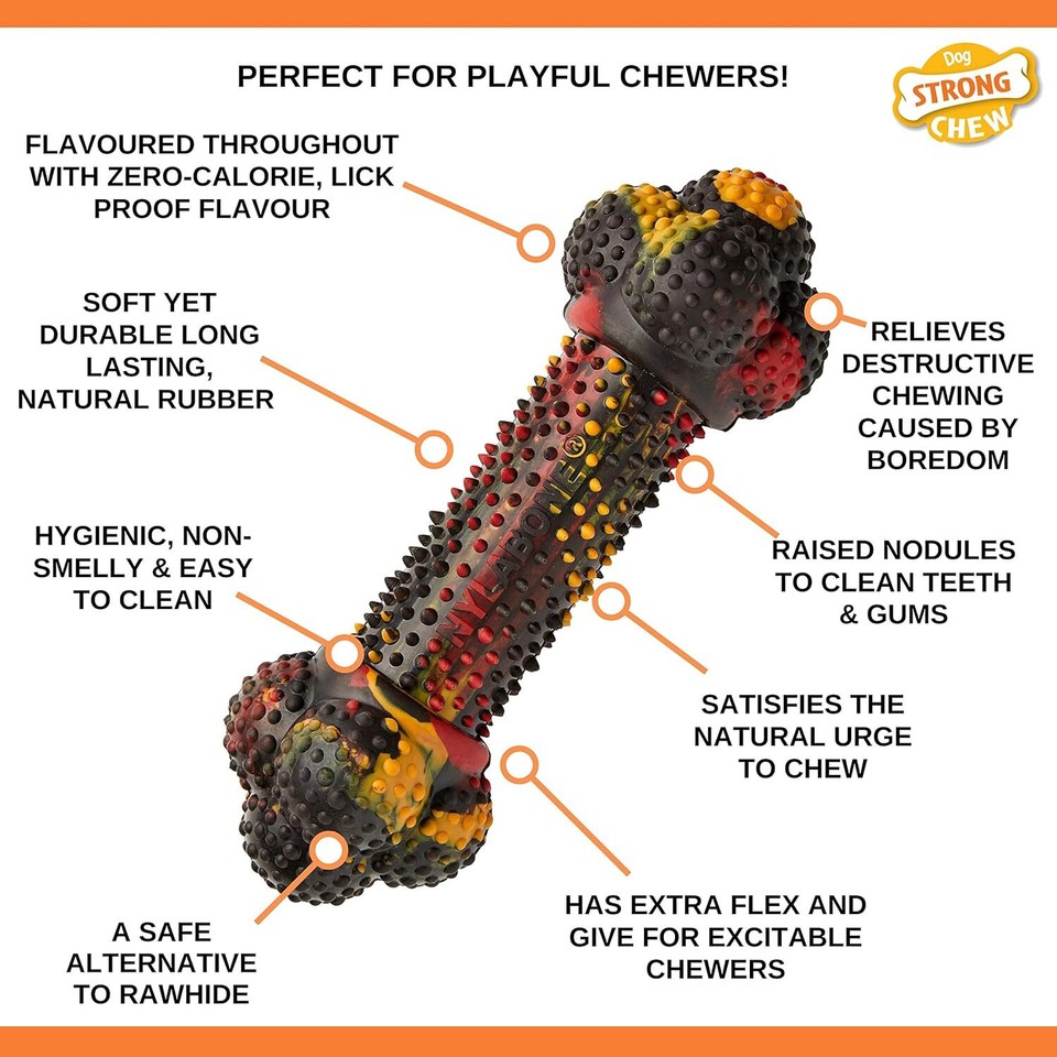 Nylabone Strong Tough Durable Rubber Dog Chew Toy Bone, Bacon