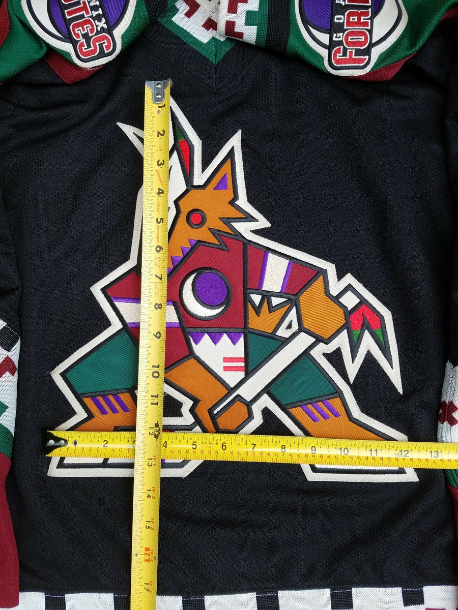Phoenix Coyotes History