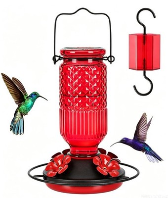 16oz Glass Hummingbird Feeder - Outdoor Hanging, Ant Moat, 4 Bee-Proof Ports, Le