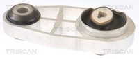 Triscan Motorlager 8505 25128 FüR Renault ScÉNic 2 JM0 Clio 3 BR0 CR0 Megane BM0