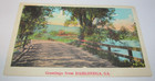 Vintage Postcard Greetings from Dahlonega GA Georgia Bridge Road over Lake Pond — photo 1