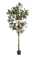 Artplants Deko Yulan-Magnolie Bellita, Dekostamm, GrüN-Olive, 210Cm