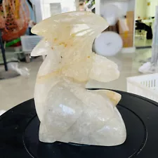 9.02LB Top natural white crystal hand carved therapeutic artwork 4100g
