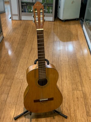 ABILENE BY SAMICK AC-15 6-STRING ACOUSTIC GUITAR | eBay