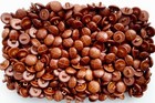Foto 15 di 24
