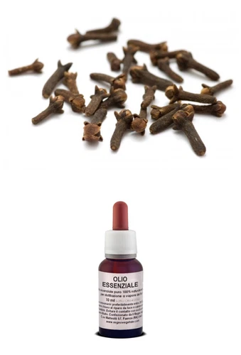 Essential Oil 100% Pure CLOVES Food / Cosmetic AROMATHERAPY
