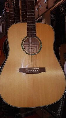 90's JOHNSON STEEL STRING ACOUSTIC - made in KOREA - Bild 1 von 4