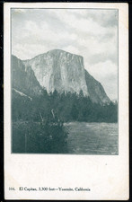 1908 Yosemite Park California El Capitan Vintage Foley Postcard