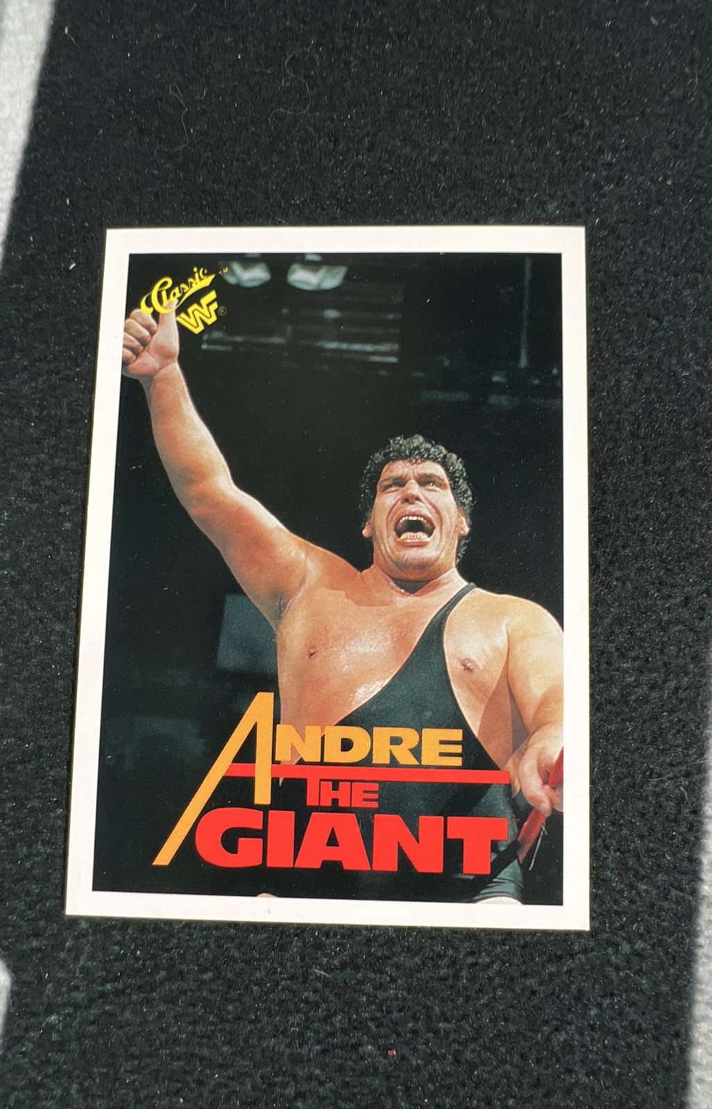 1990 Classic WWF - Andre the Giant #10