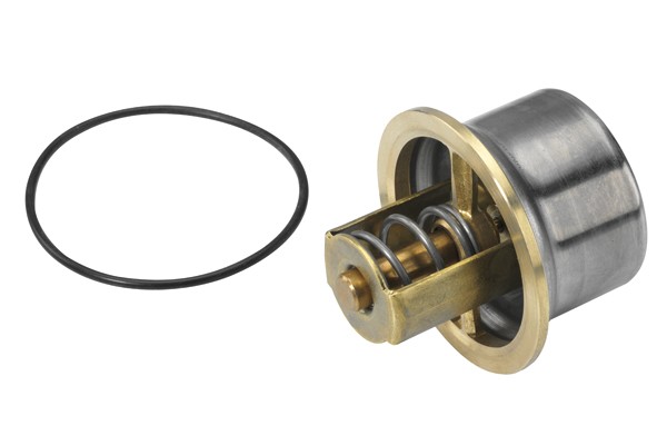 Thermostat liquide refroidissement BorgWarner 4621.80D la précision Wahler