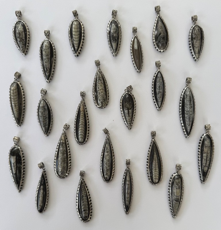 Lot of 23 Orthoceras Fossil Pendants Polished Stone Silver Tone Jewelry bundle 1