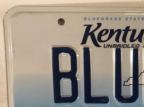 Vanity BLUEBERRY license plate Blue Fruit Farmer Food Pie Jam Farm Agriculture - Picture 5 of 12