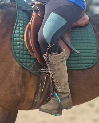 damen reitstrumpfhose schwarz und grün