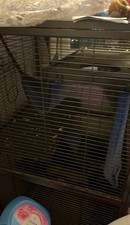 Large Metal Pet Cage with Removable Tray