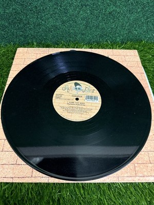Chanelle - Work That Body (Hysteria Dub) 12'' Vinyl Single Great Jones 1993 House