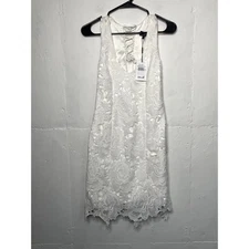 NEW Bardot Ivory White Lace Dress Size US 4 XS Knee Length 