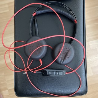 Poly Blackwire 8225 USB A kabelgebundenes Headset mit Mikrofon & Tragetasche