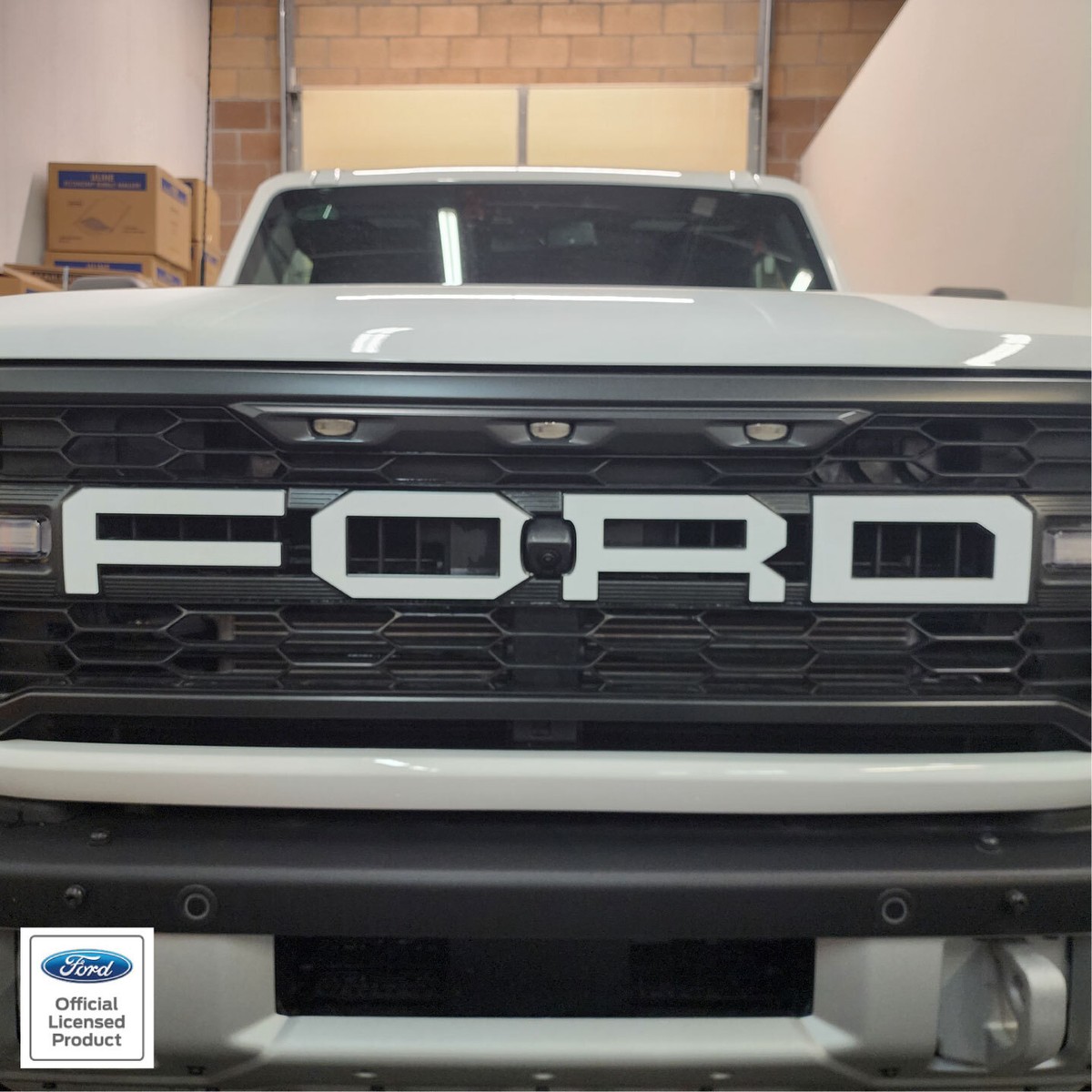 Ford Raptor (2010-2014) - SVT Grill Emblem : R/FordRaptor - Foto 2