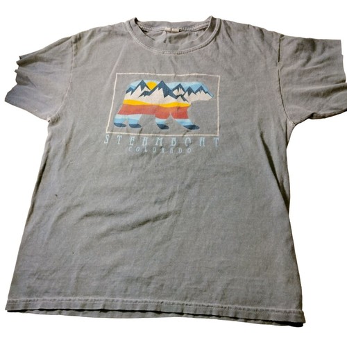 Steamboat Springs T Shirt Mountain Bear Distressed Blue Colorado Youth Small - Picture 1 of 8