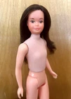 Vintage 1975 Mattel Growing Up Ginger Barbie Doll Skipper Friend Brunette Works!