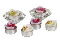 6Er Pack Teelichter Orchideen In Pvc Box Formano F25