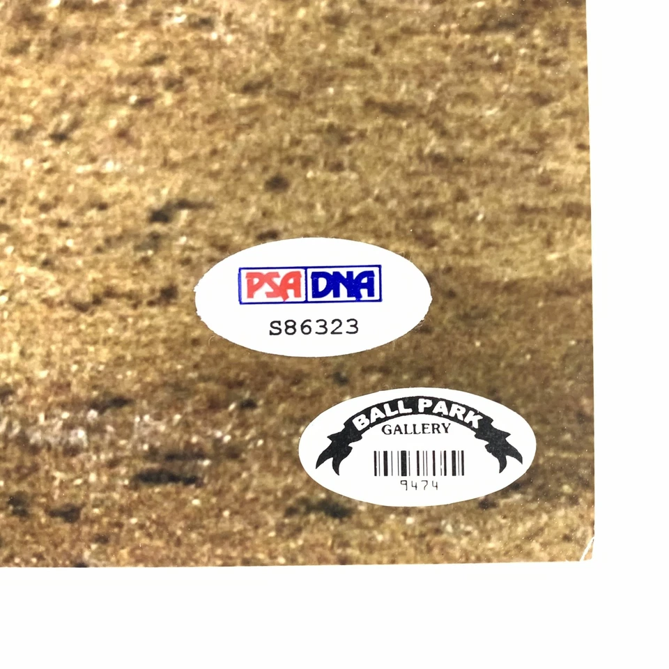 Foto firmada por Edgar Rentería 16x20 PSA/DNA Gigantes de San Francisco autografiada Foto 3 de 4